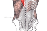 Lower Back Position Control – Mark Rippetoe