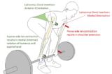 An Examination of Control of the Supine Hand in a Heavy Deadlift