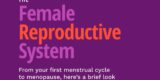 The Female Reproductive System – HealthyWomen