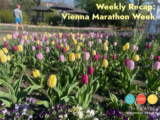 Weekly Recap: Race Week! – The Right Fits